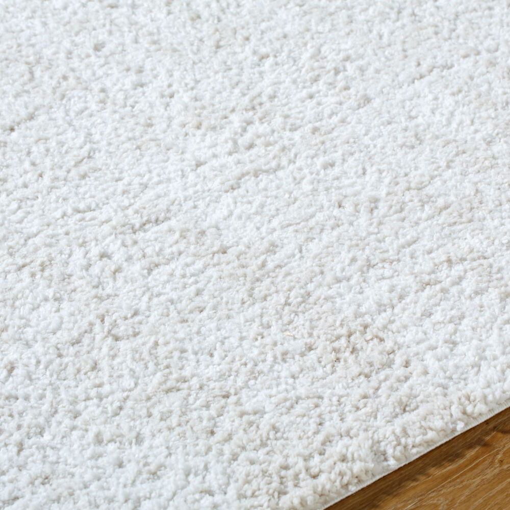 Sacramento Shag Machine Woven Rug