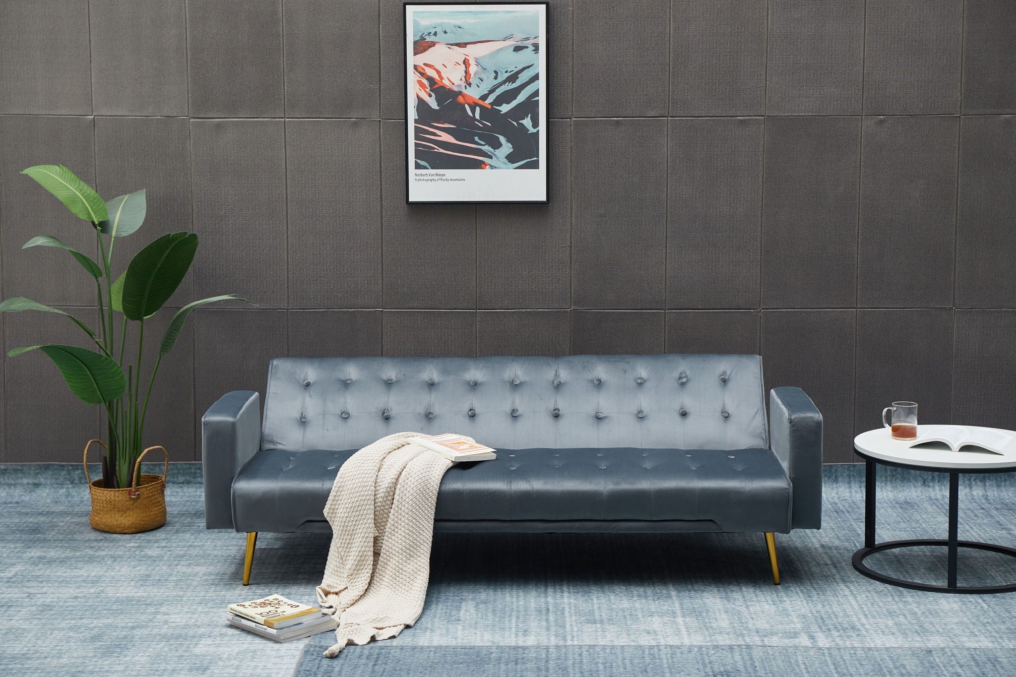 Comfort Compact Design Sofa Bed