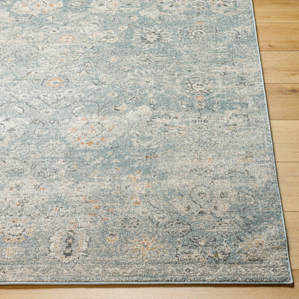 Alpharetta Machine Woven Rug