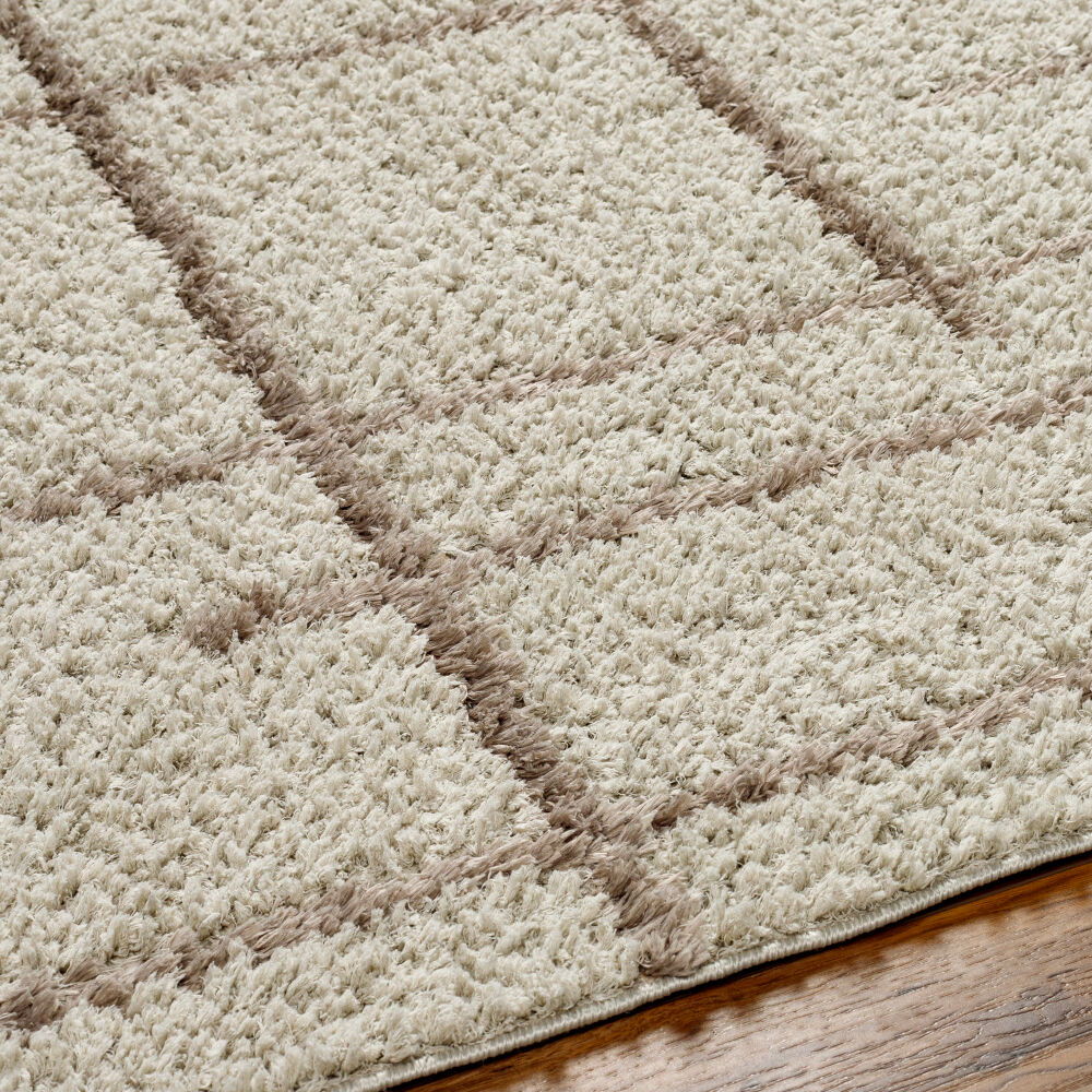 Maryland Shag Machine Woven Rug