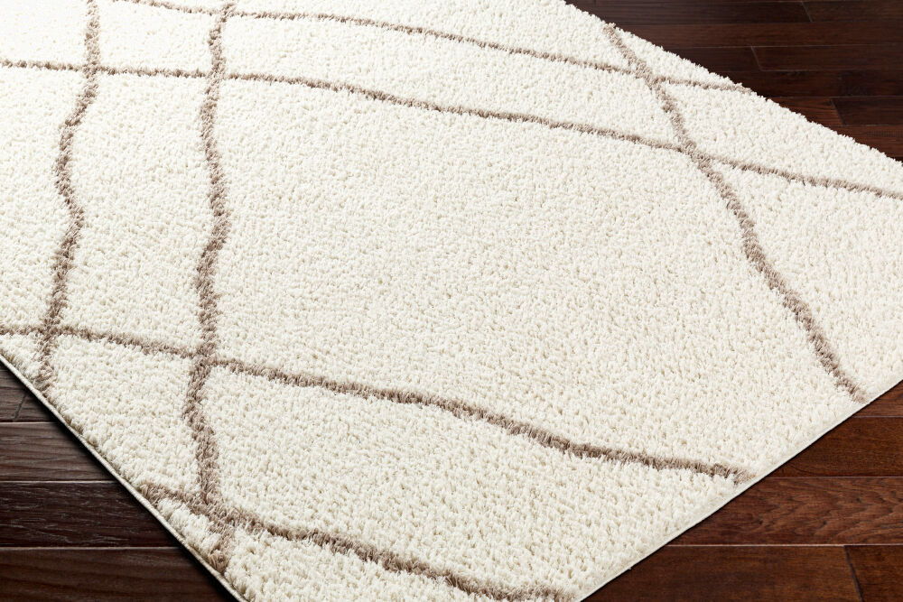 Maryland Shag Machine Woven Rug