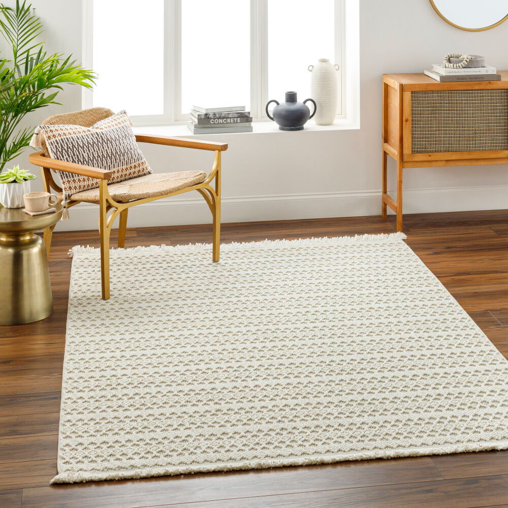New Delhi Machine Woven Rug