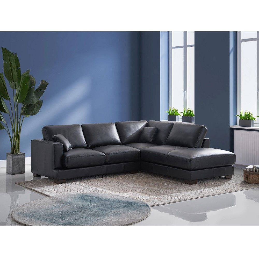 ACME Geralyn - Sectional Sofa With 2 Pillows - Black | Meri Furniture