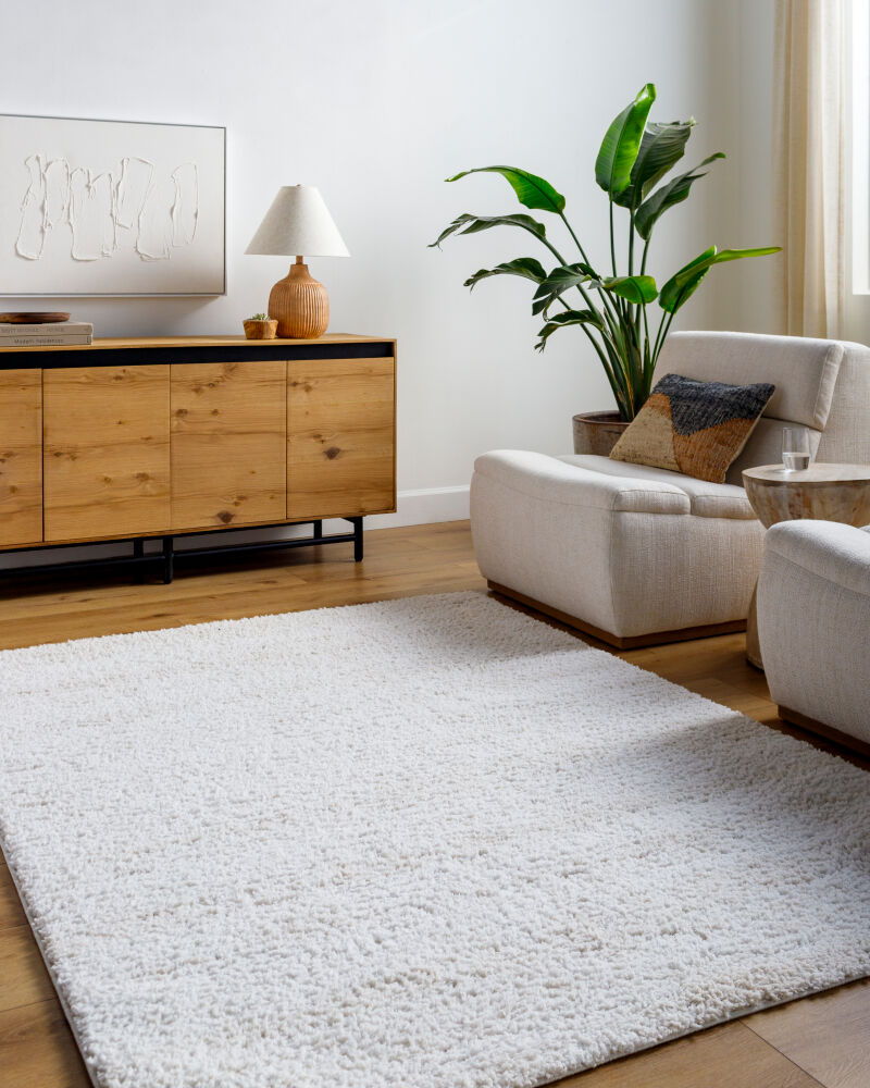 Sacramento Shag Machine Woven Rug