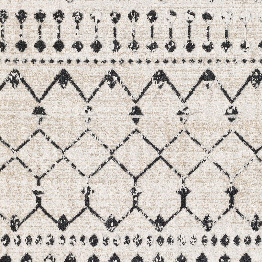 Lavadora Machine Woven Rug