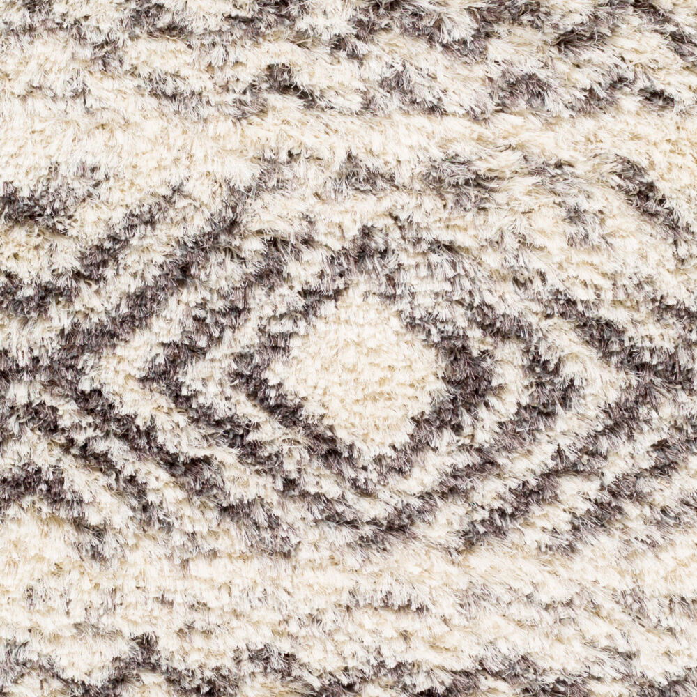 Rhapsody Machine Woven Rug