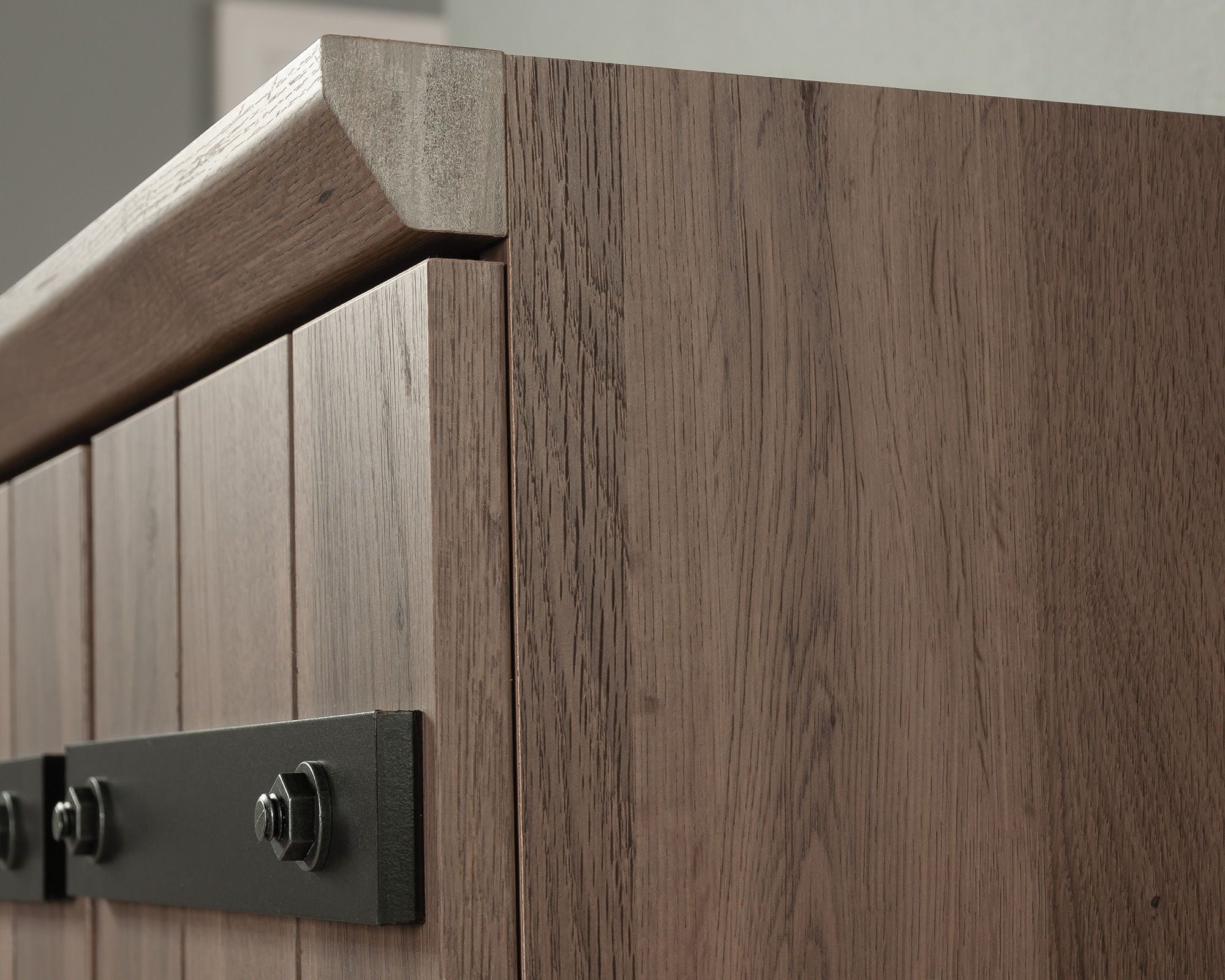 2-Door Farmhouse Storage Cabinet Salt Oak