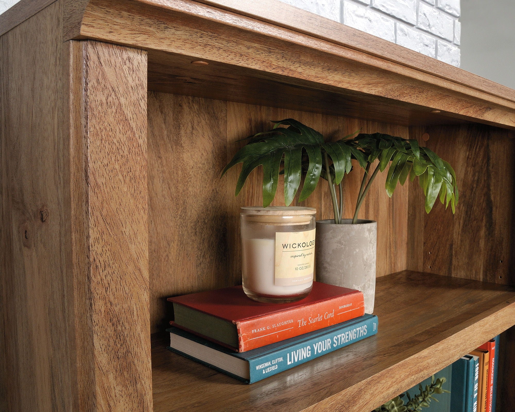 Transitional 3-Shelf 2-Door Bookcase