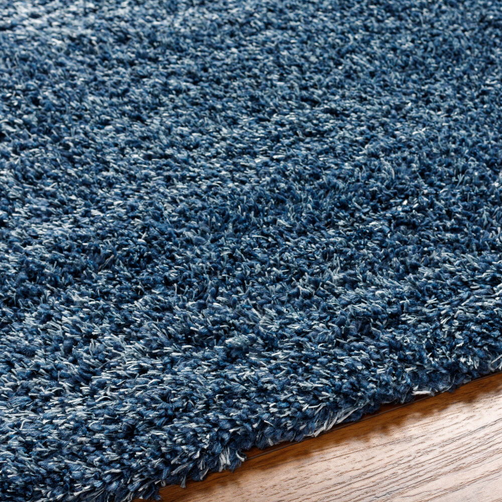 Bogota Shag Machine Woven Rug