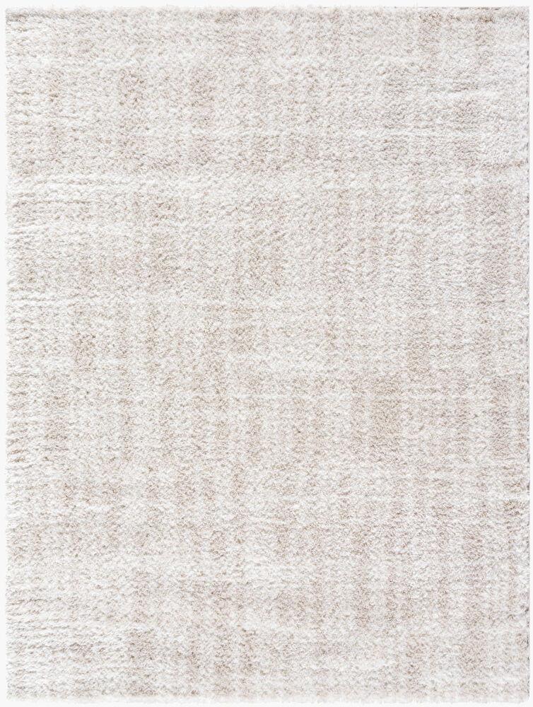 Cloudy Shag Machine Woven Rug
