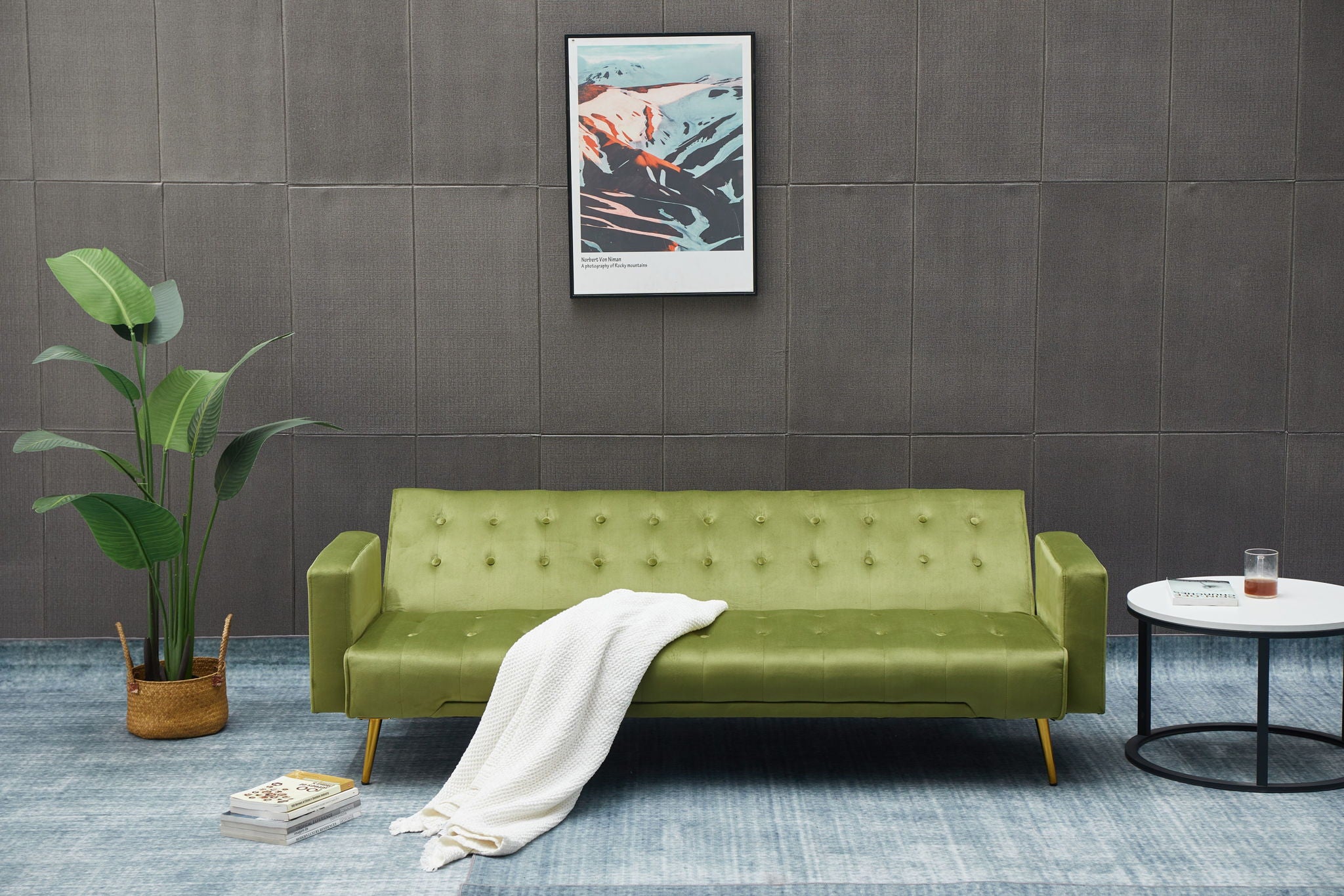 Comfort Compact Design Sofa Bed