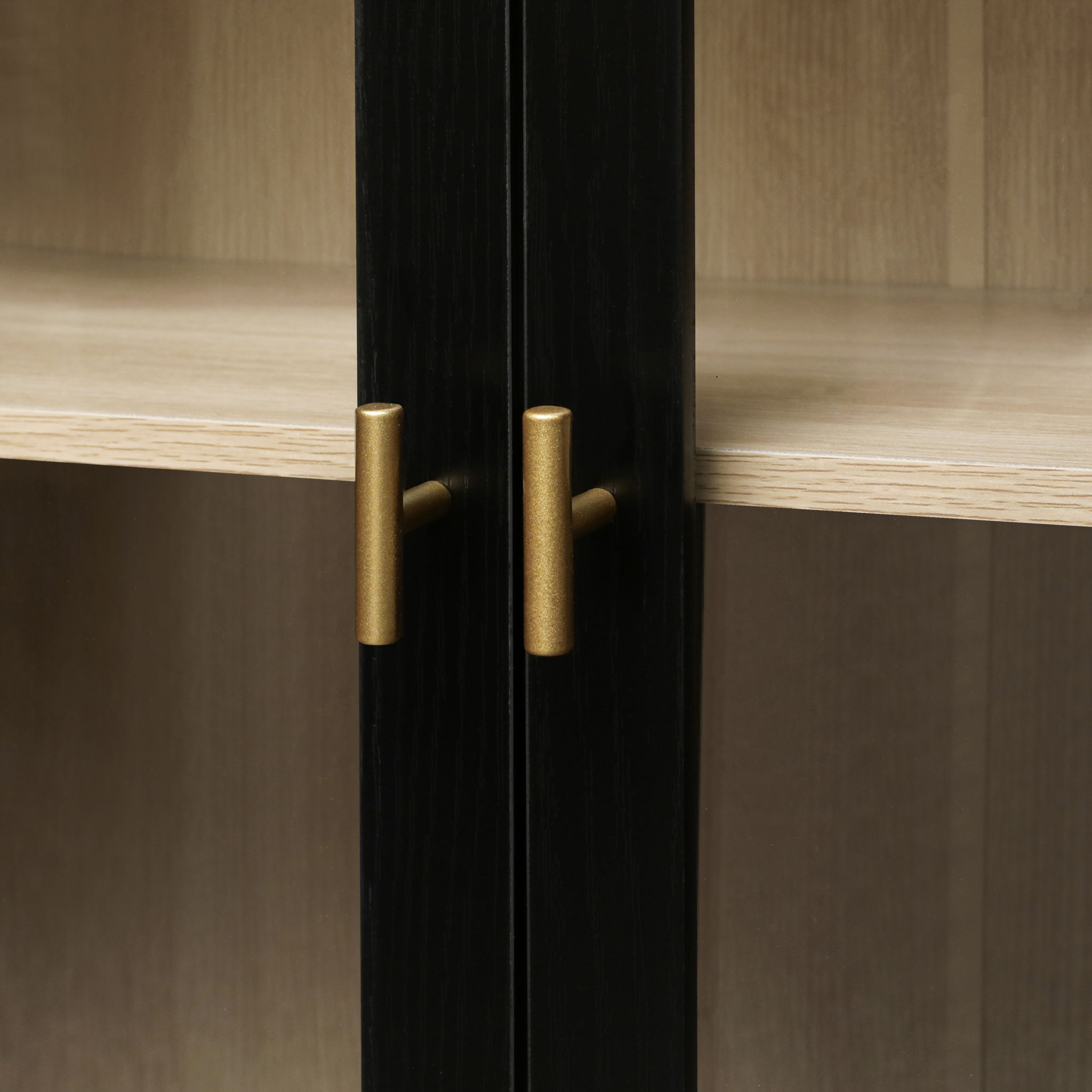 Storage Cabinet With Door For Living Room, Dining Room - Black