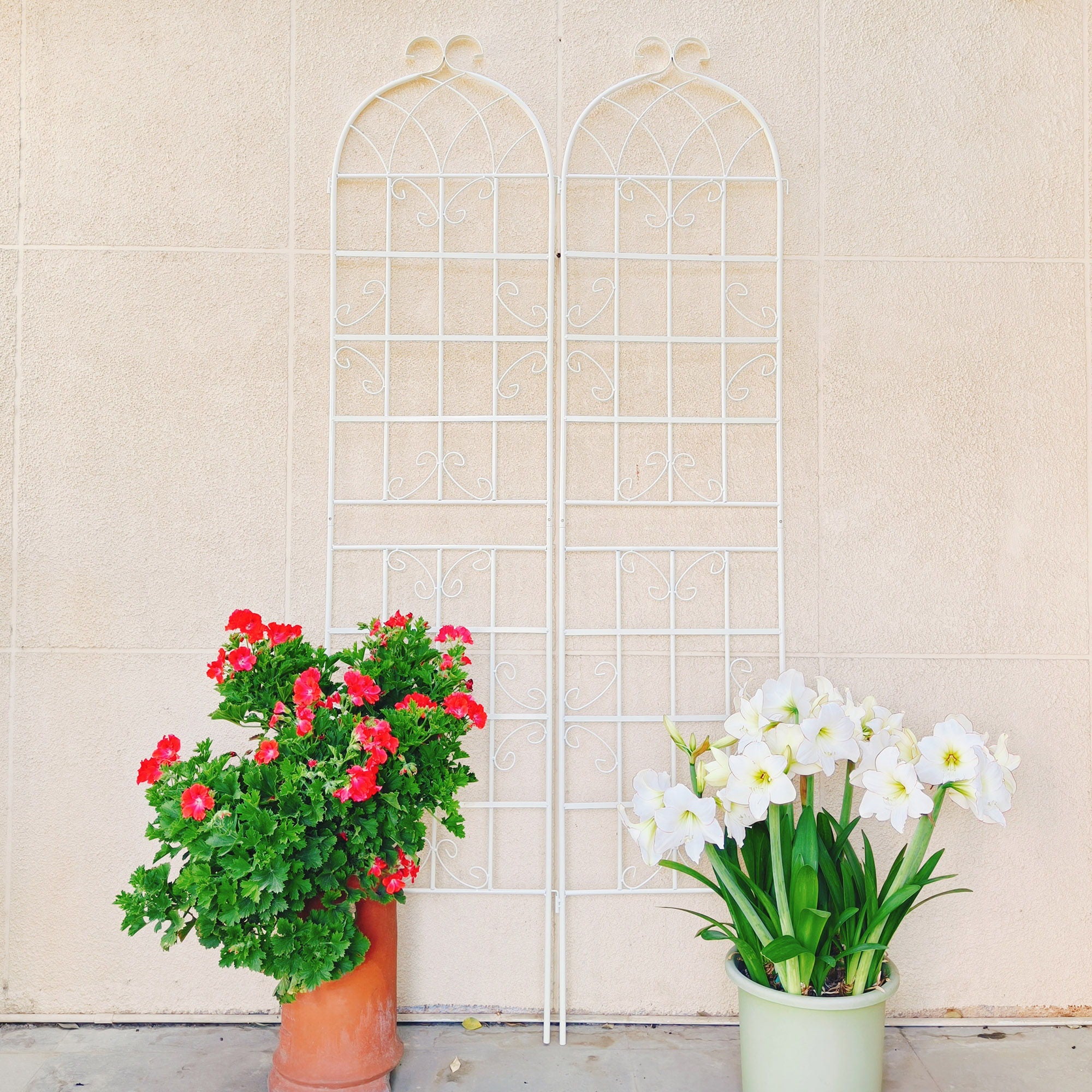 Metal Garden Rustproof Trellis For Climbing Plants Outdoor Flower Support