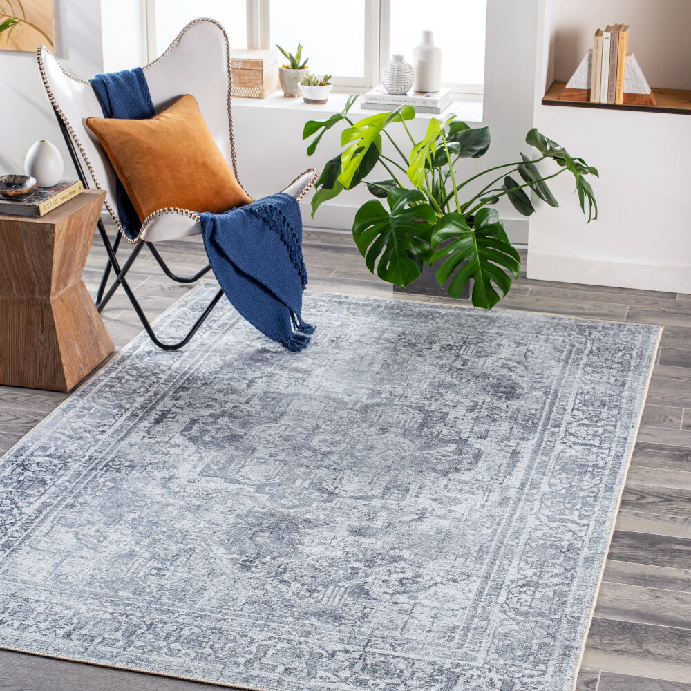 Tahmis Machine Woven Rug