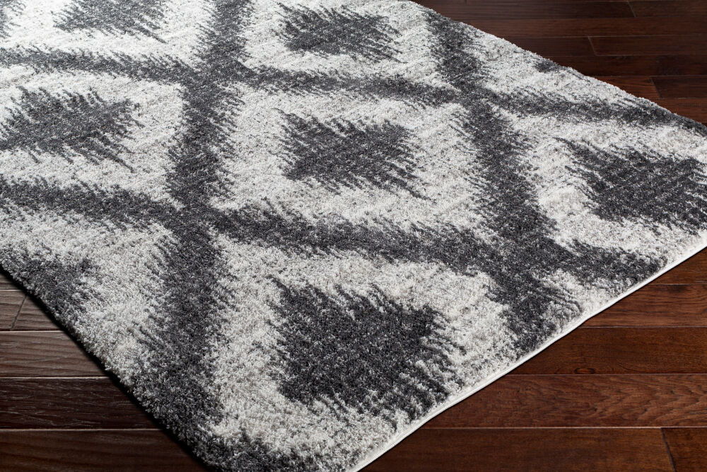 Aliyah Shag Machine Woven Rug