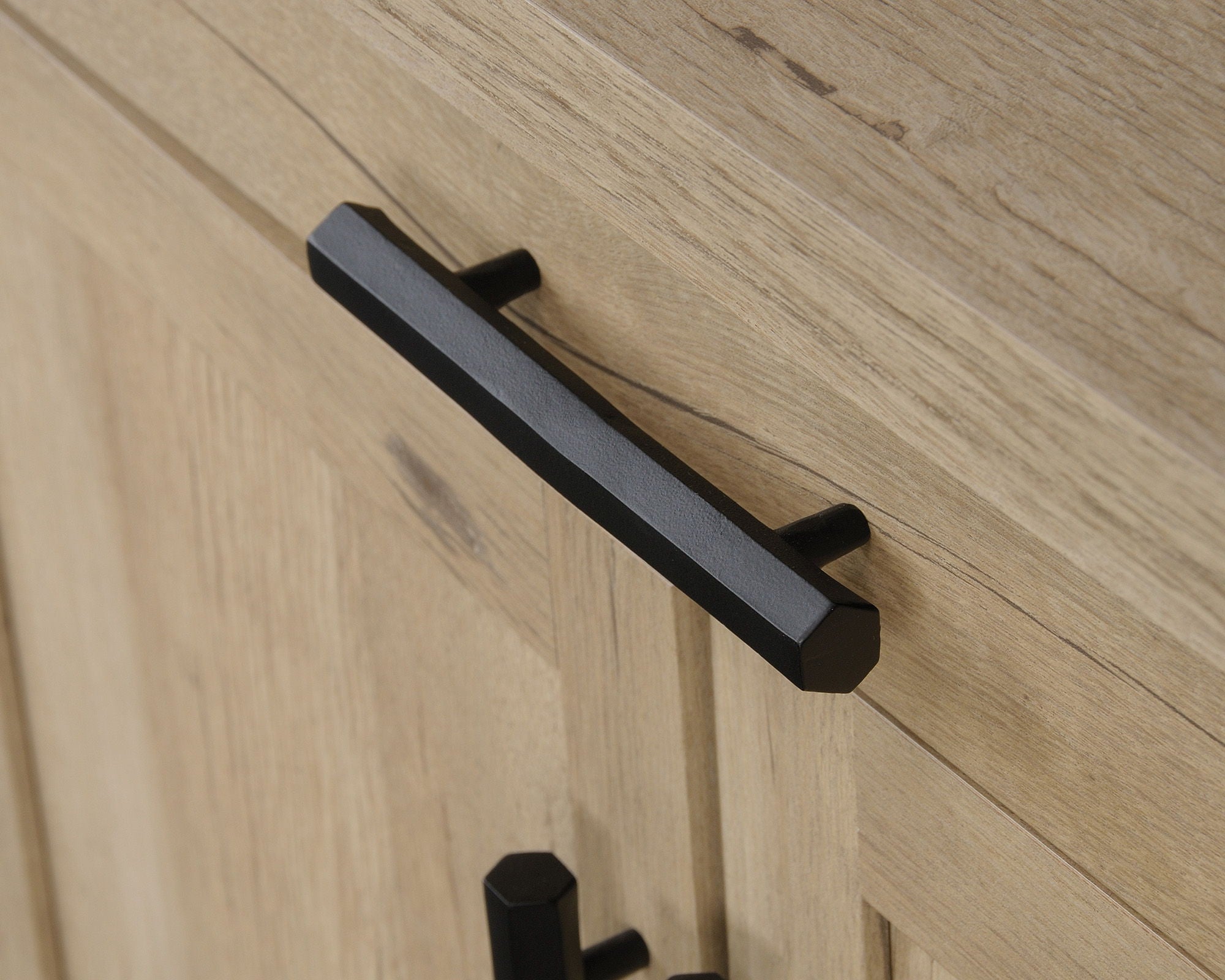 2-Door Library Cabinet with Prime Oak Finish
