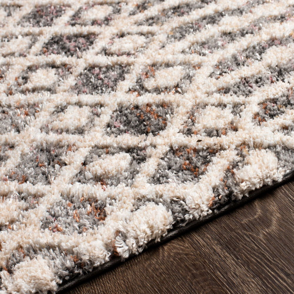 Lyon Machine Woven Rug