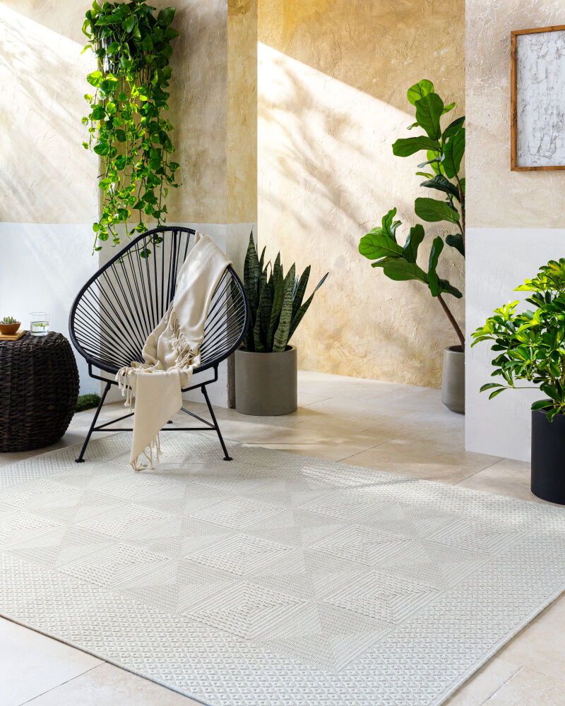 Sandra Machine Woven Rug