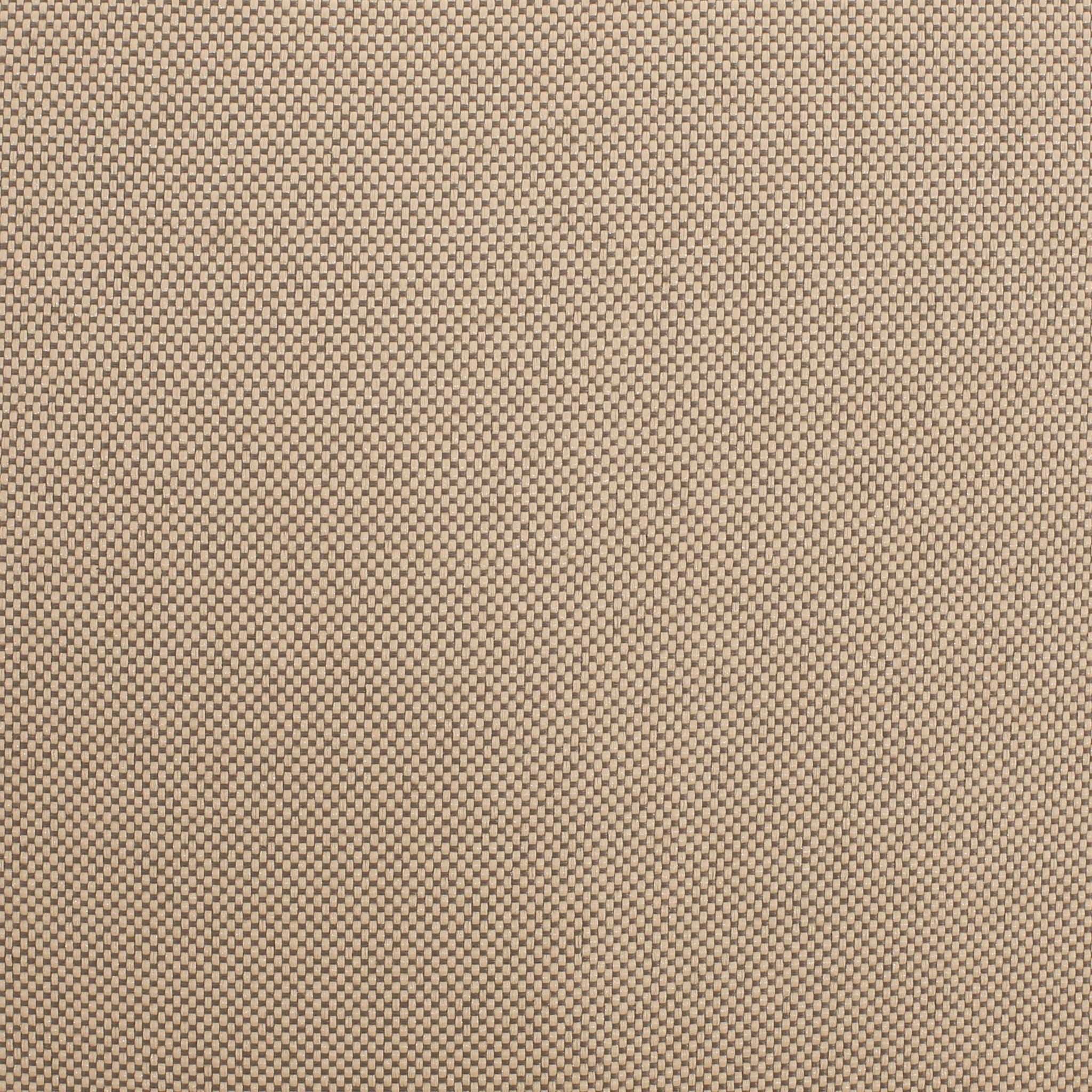 Contemporary Outdoor Patio Chairs With Cushions (Set of 2) - Beige / Black