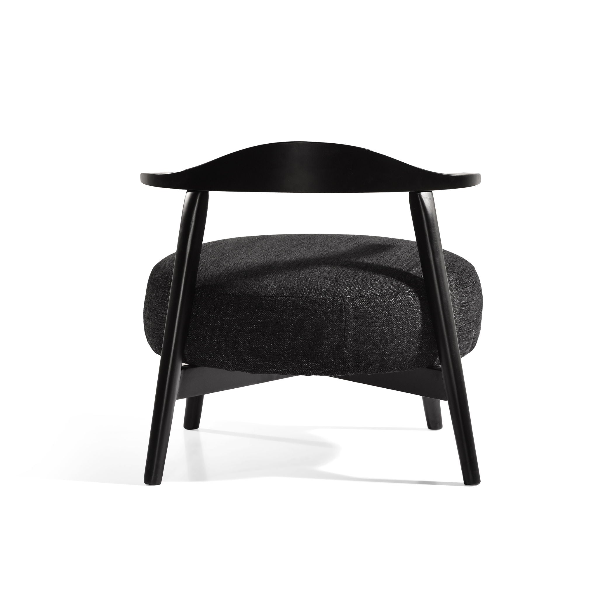 Modern Living Room Upholstered Accent Chair