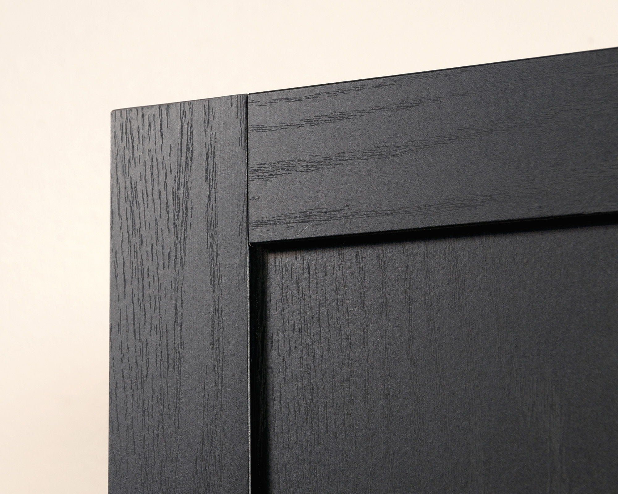 2-Door Storage Cabinet with Shelves in Black