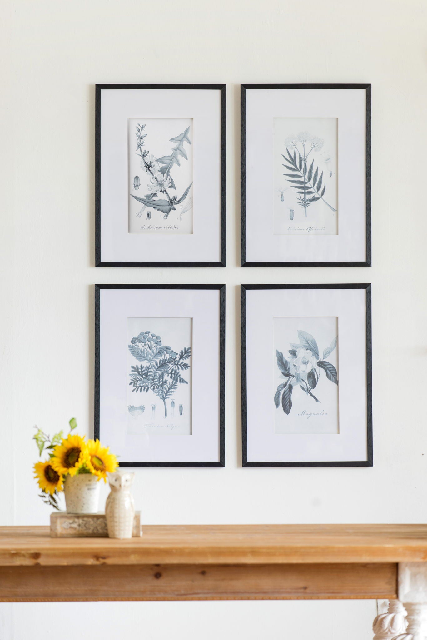 Botanical Wall Art Prints, Home Decor For Living Room Dining Room, Bedroom, Hallway (Set of 4) - White / Black