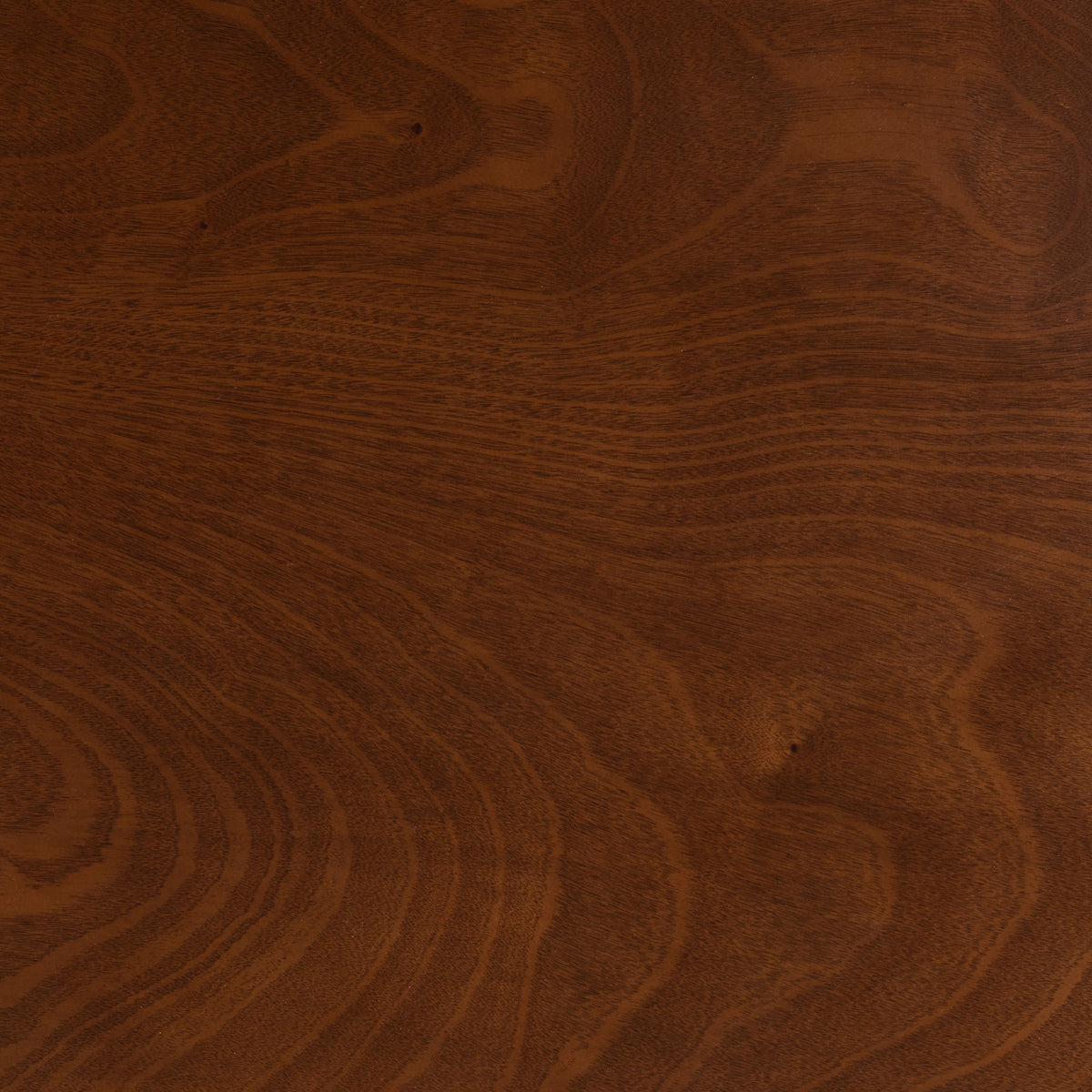 Eveline Modern Walnut Brown Finished Wood 43-Inch Dining Table