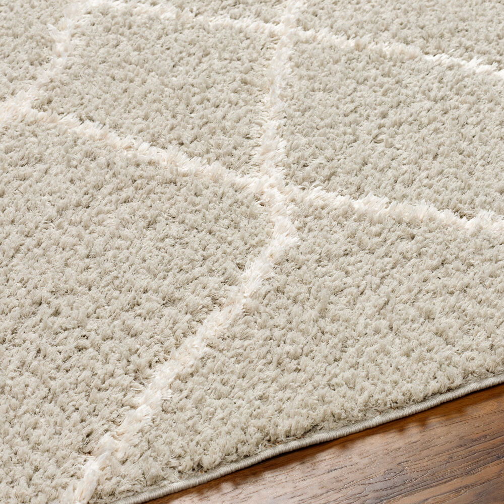 Maryland Shag Machine Woven Rug