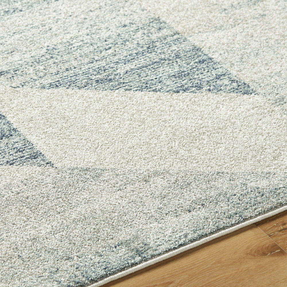 Alpharetta Machine Woven Rug