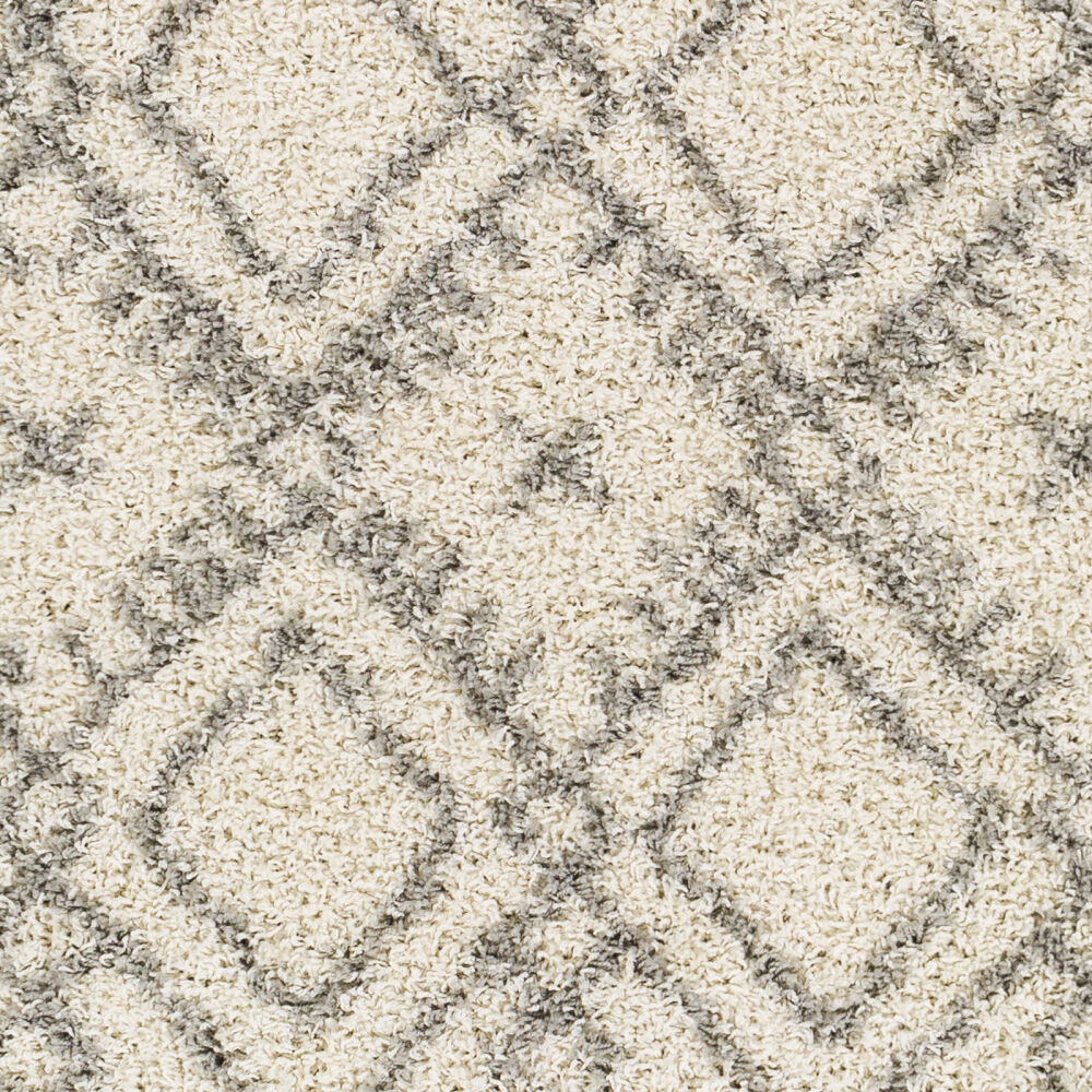Taza Shag Machine Woven Rug
