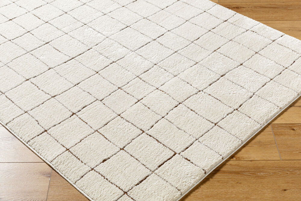 Cascade Machine Woven Rug