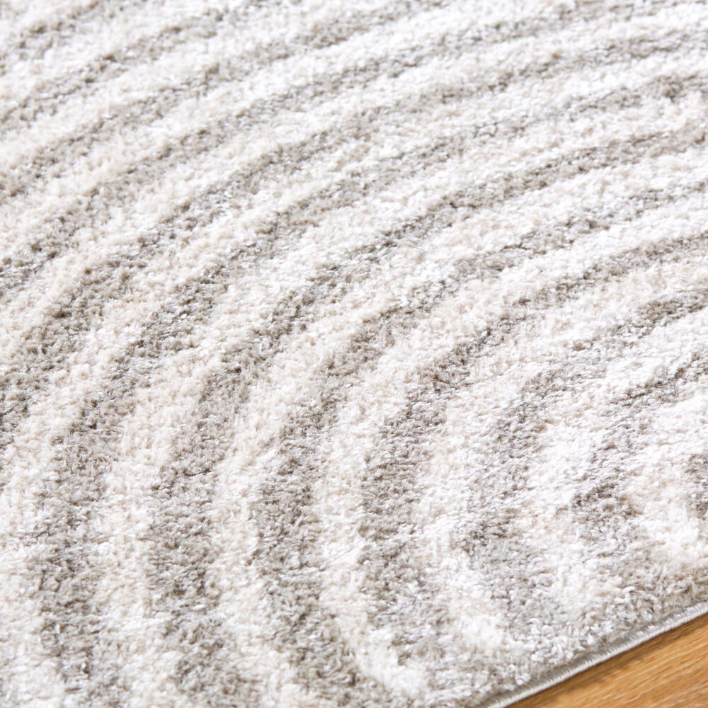 Fossay Shag Machine Woven Rug