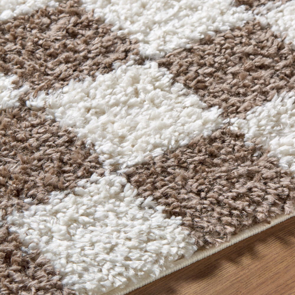 Czechia Machine Woven Rug