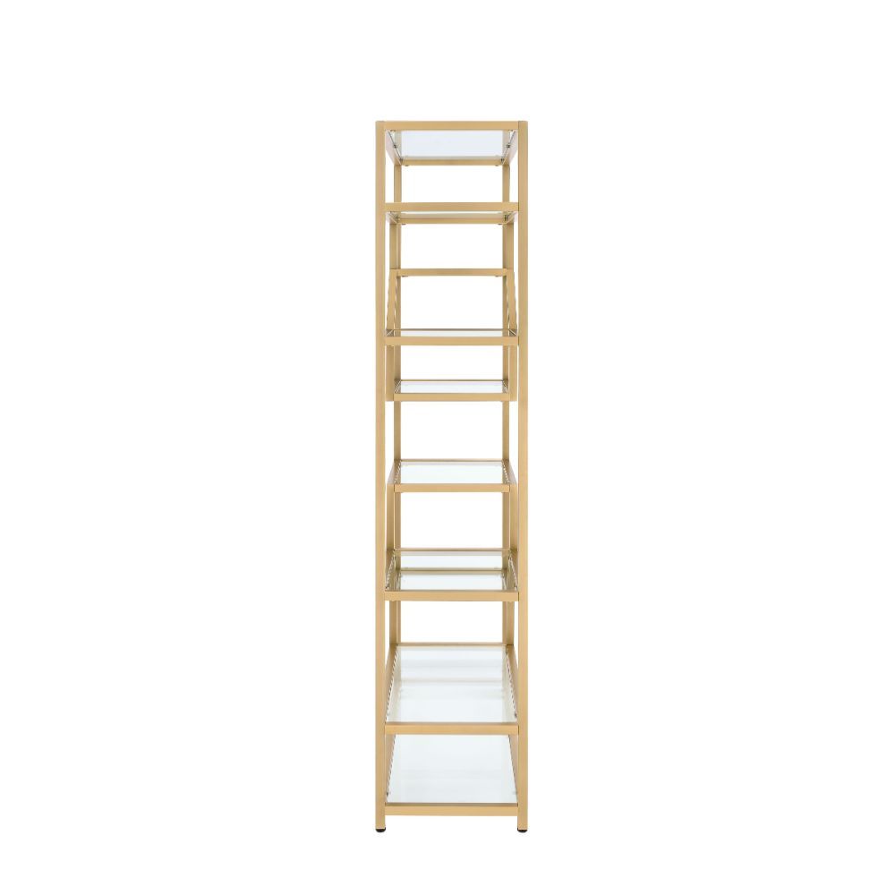 ACME Lecanga- Bookshelf - Gold & Clear Glass | Meri Furniture