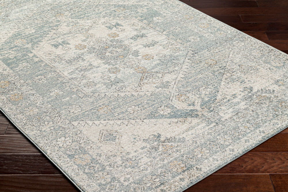 Alpharetta Machine Woven Rug