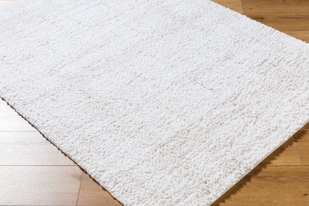 Sacramento Shag Machine Woven Rug
