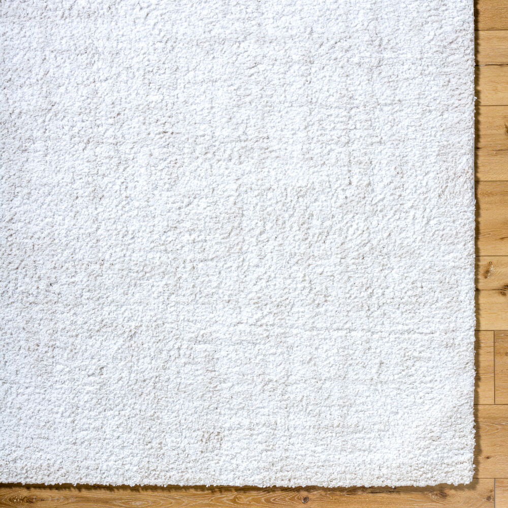 Sacramento Shag Machine Woven Rug