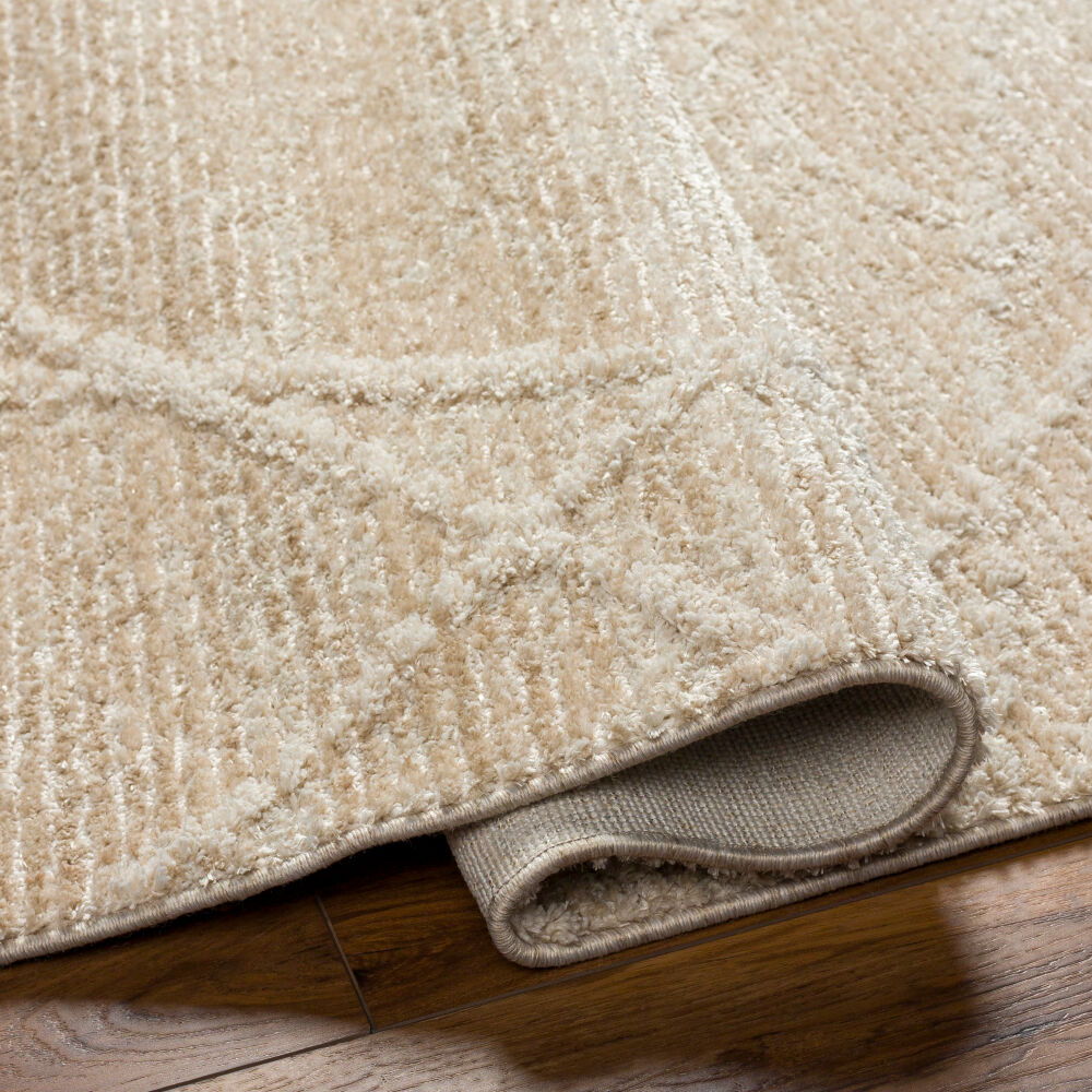 Rudy Machine Woven Rug