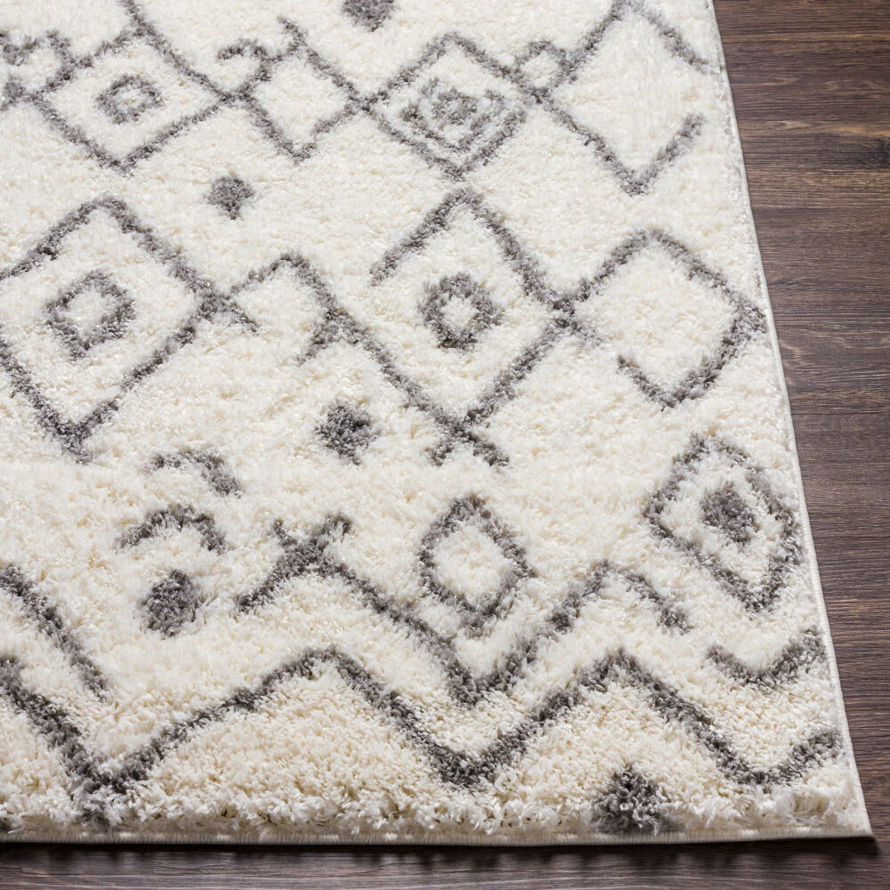 Aliyah Shag Machine Woven Rug