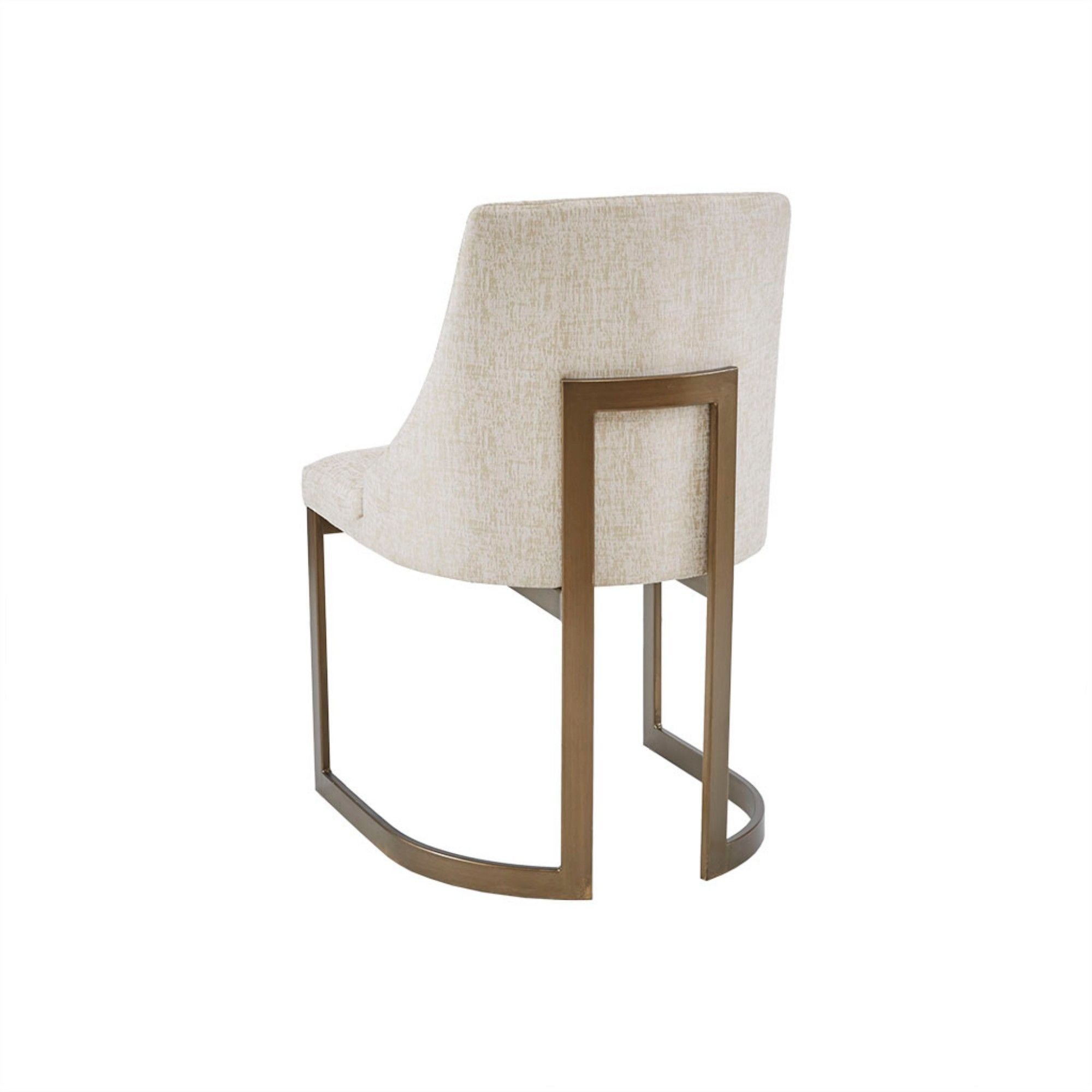 Contemporary Modern Accent Dining Chairs (Set of 2)
