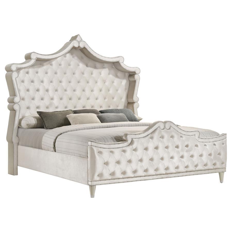Coaster Fine Furniture Antonella - Upholstered Panel Bed | Meri Furniture
