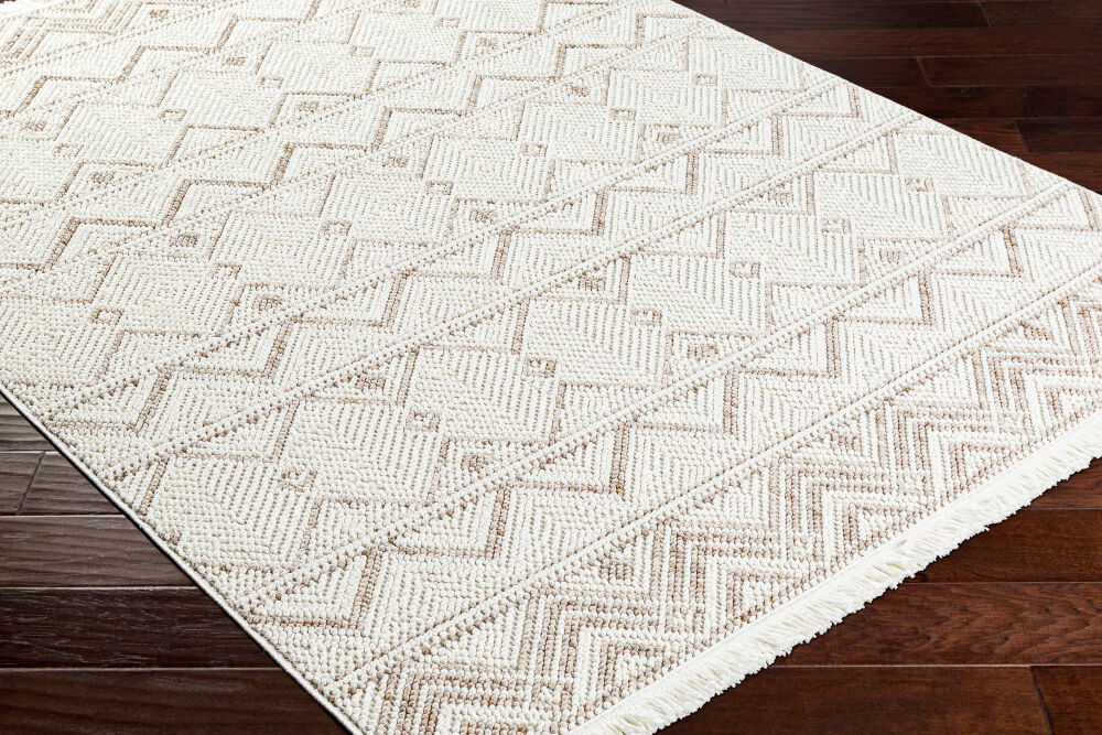 New Delhi Machine Woven Rug