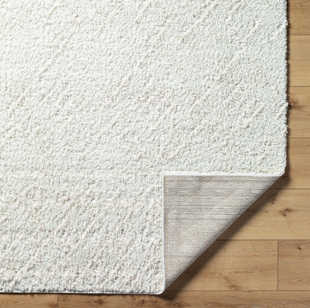 Maryland Shag Machine Woven Rug