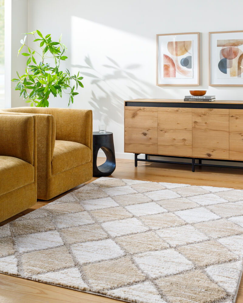 Delight Shag Machine Woven Rug