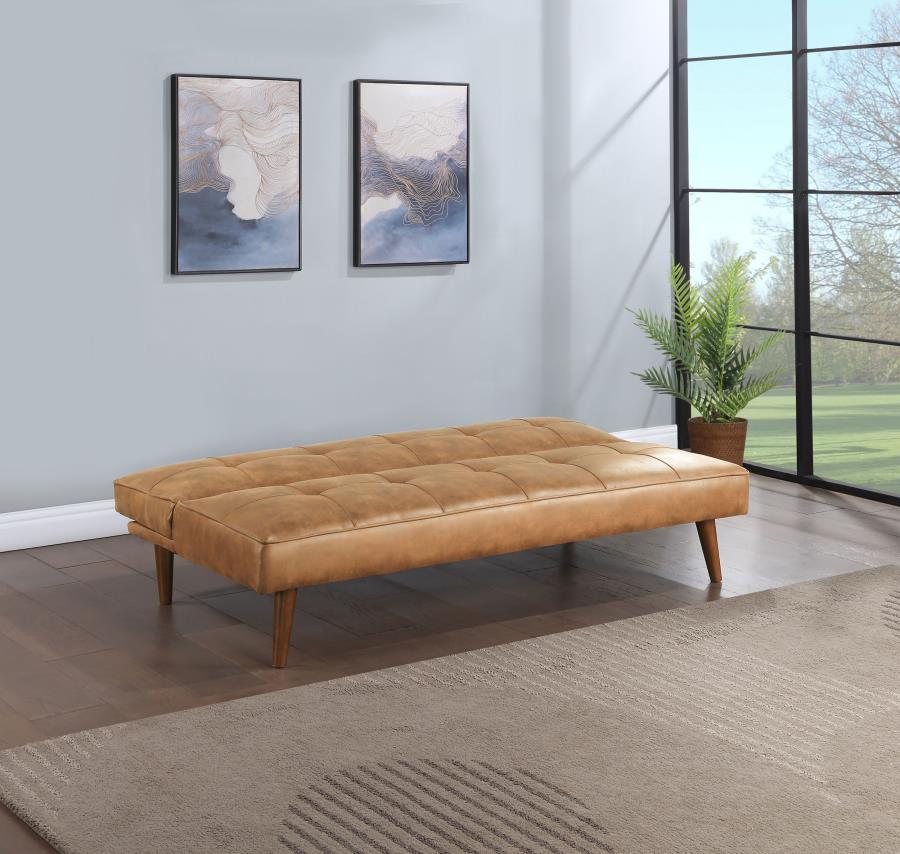 Coaster Fine Furniture Jenson - Upholstered Tufted Convertible Sofa Bed | Meri Furniture