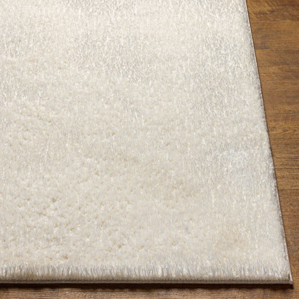 Cloudy Shag Machine Woven Rug