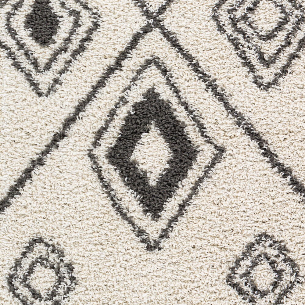 Taza Shag Machine Woven Rug