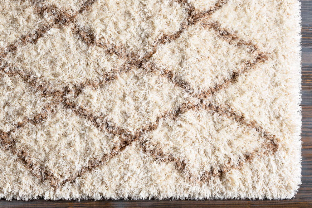 Rhapsody Machine Woven Rug