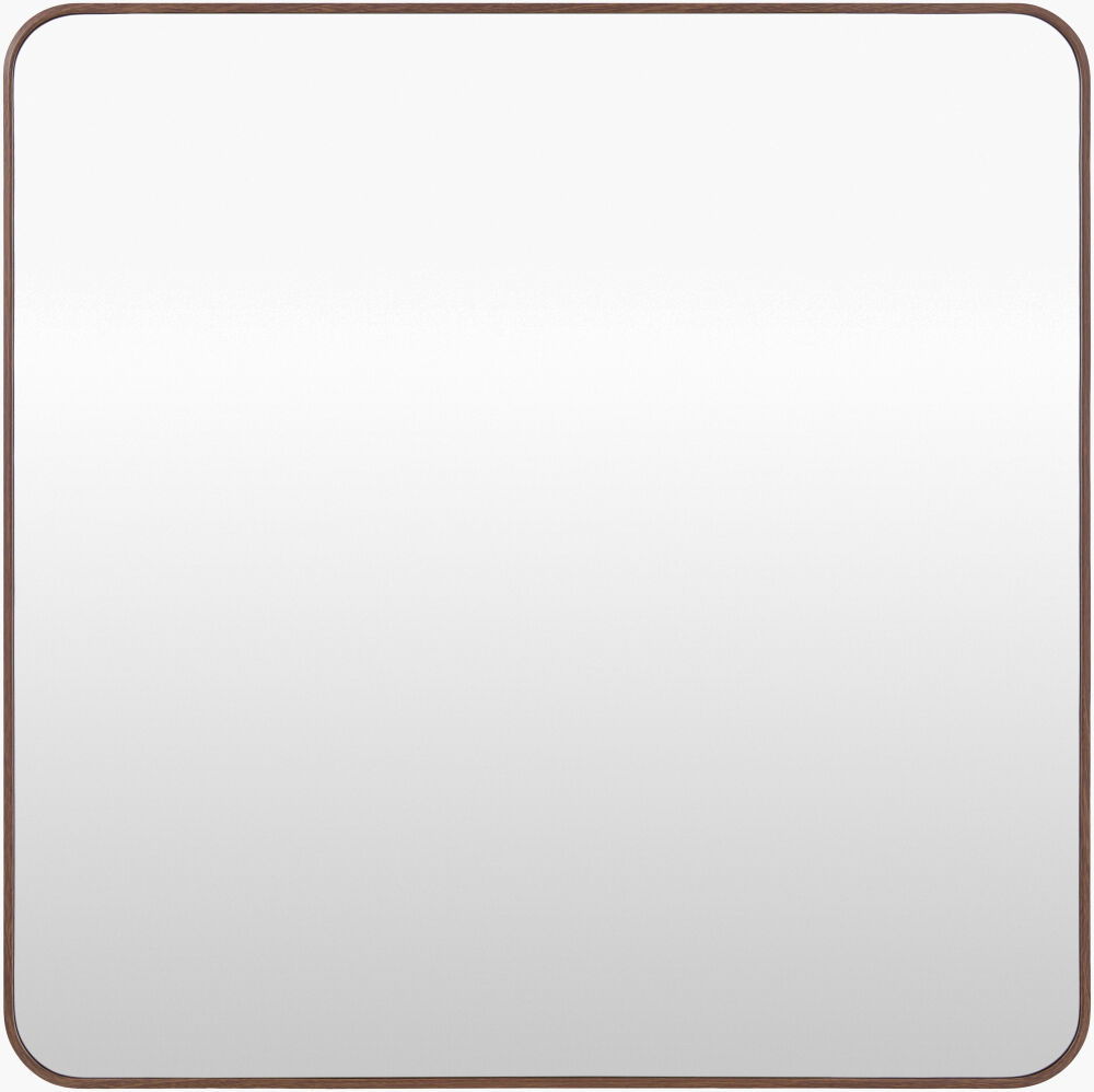 Aranya Accent Mirror