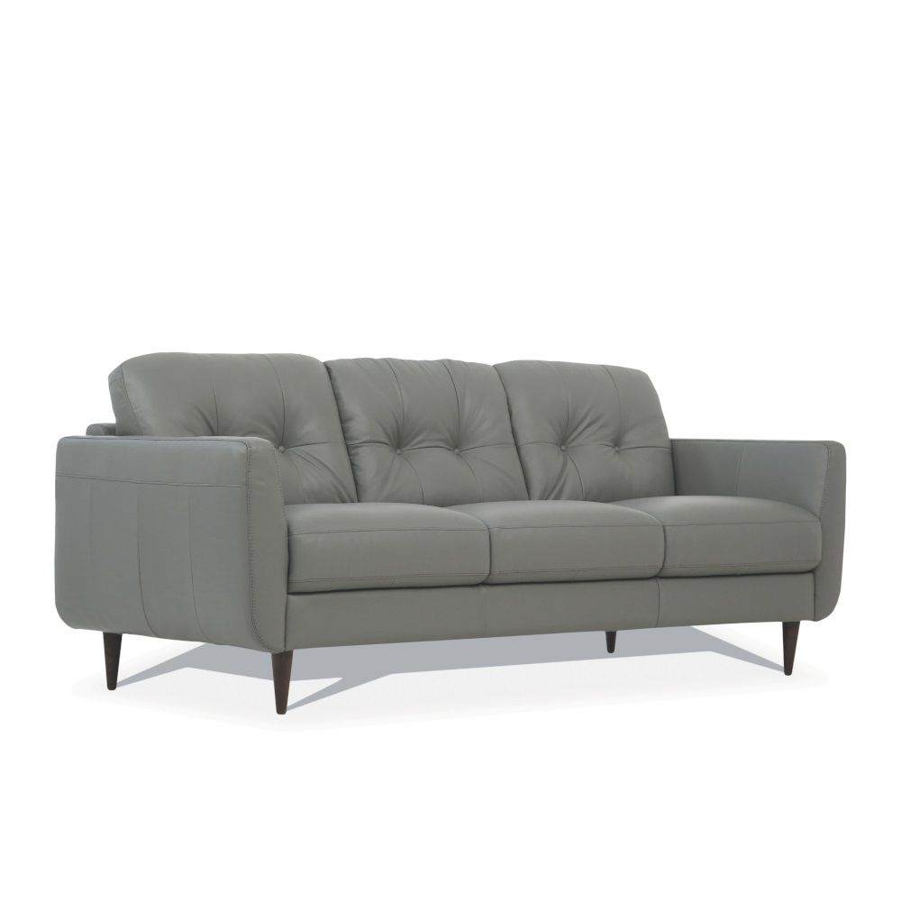 ACME Radwan - Sofa | Meri Furniture